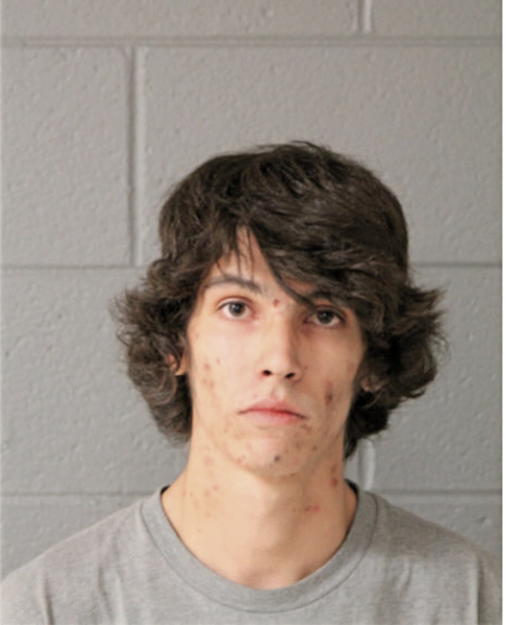 ADAM F FABIAN, Cook County, Illinois
