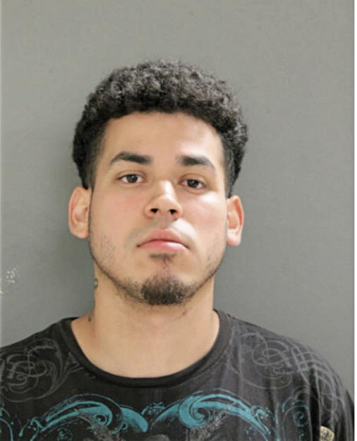 KEVIN A FLORES, Cook County, Illinois