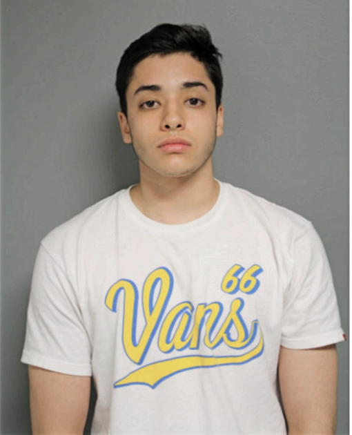LUIS A FLORES, Cook County, Illinois