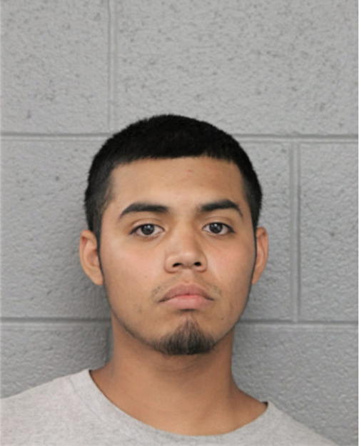 RAYFE FLORES, Cook County, Illinois