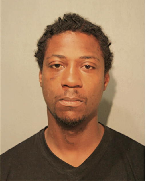 AARON J HAYNES, Cook County, Illinois