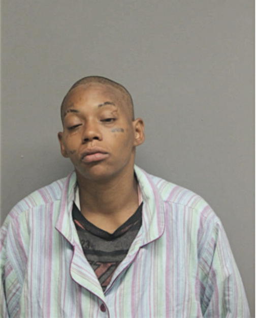 SAMINA HOLLY, Cook County, Illinois