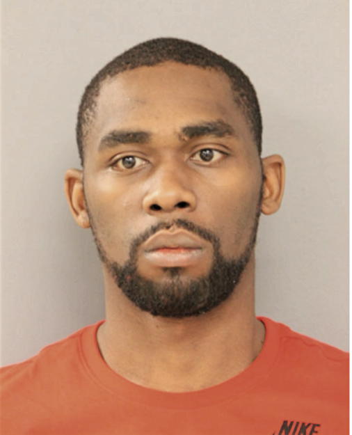 CHRISTOPHER E HORN, Cook County, Illinois