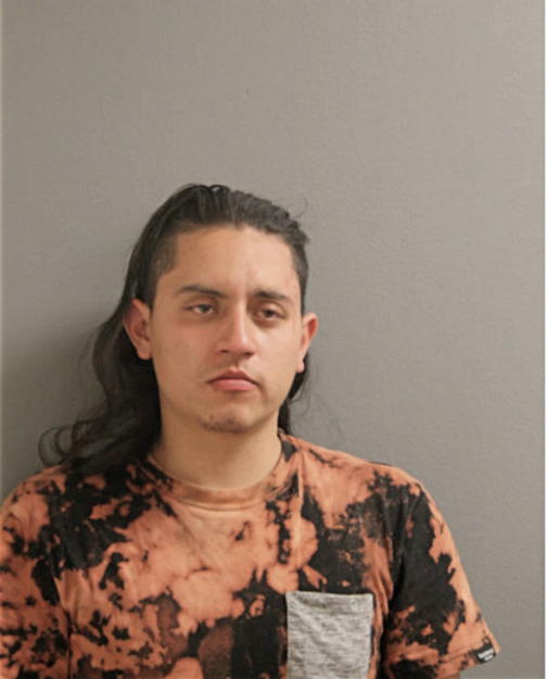 JOSSUE D LANDETA, Cook County, Illinois