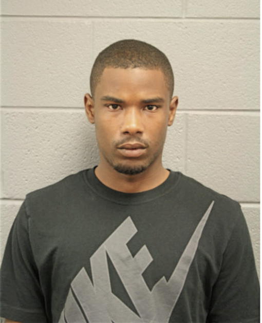 DARRYL L LEE, Cook County, Illinois