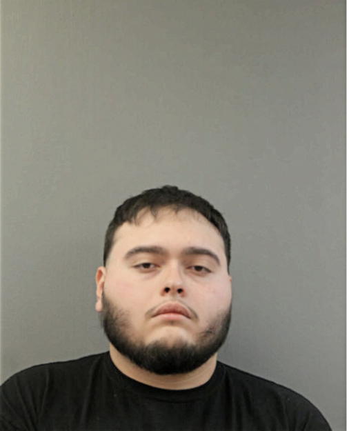 GIOVANNI J LONGORIA, Cook County, Illinois