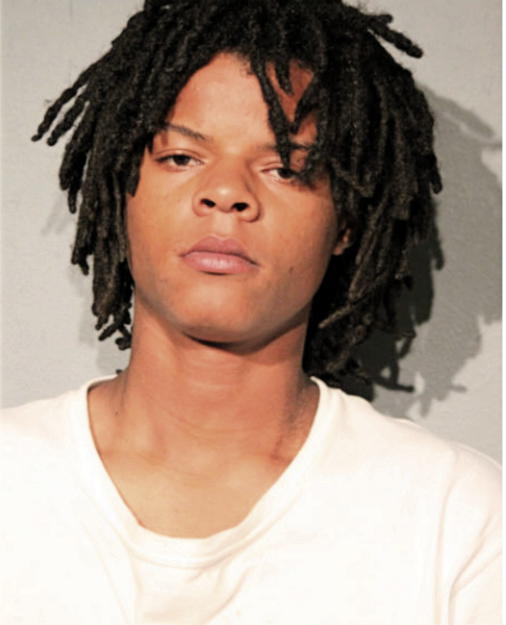 DEANGELO T MARTIN, Cook County, Illinois
