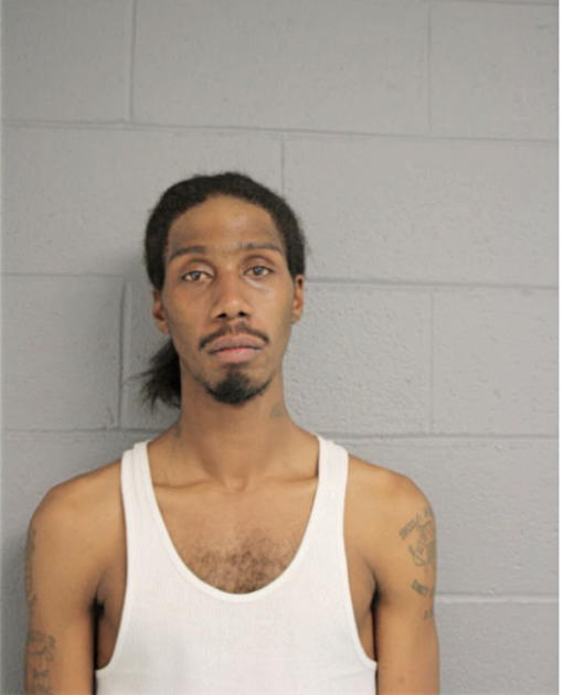 LARRY L NELSON, Cook County, Illinois