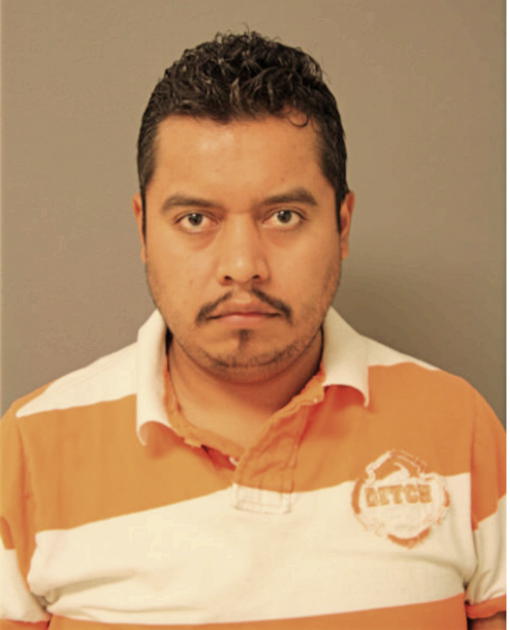 JUAN P PEREZ-IBARRA, Cook County, Illinois