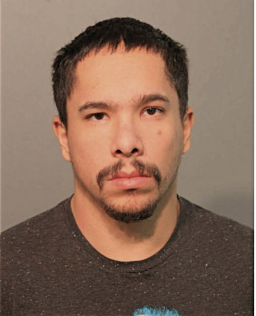 JAIME A SAEZ, Cook County, Illinois