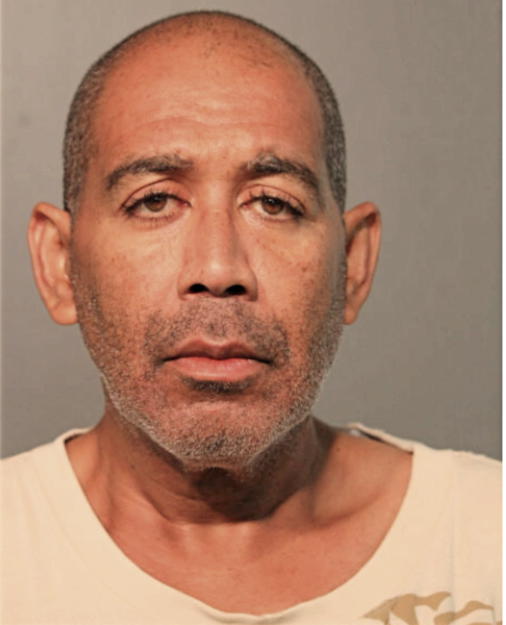 JUAN I SALAMAN, Cook County, Illinois