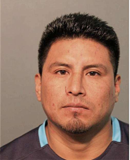 JOSE V TENE, Cook County, Illinois