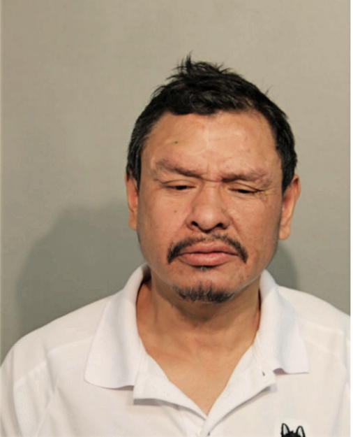 ALEJANDRO J VALLE, Cook County, Illinois
