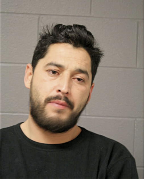BRANDON ALDECOA, Cook County, Illinois