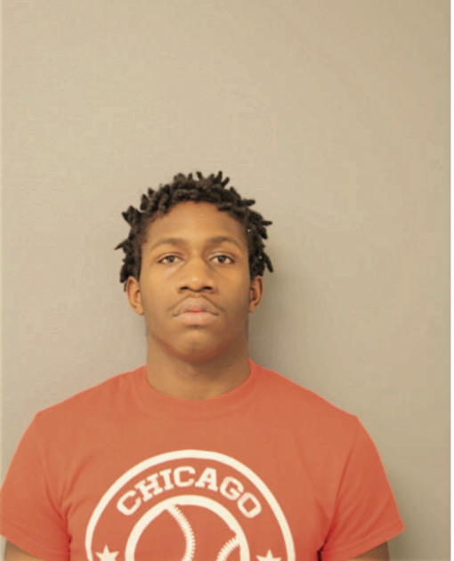 ERIC D CRAIG, Cook County, Illinois