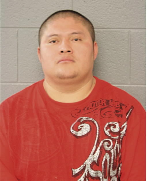 MARCO DIEGO, Cook County, Illinois