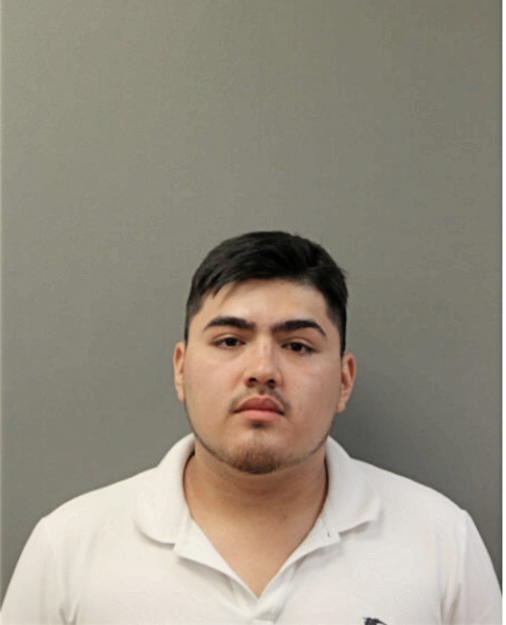 LEONEL MENA FLORES, Cook County, Illinois