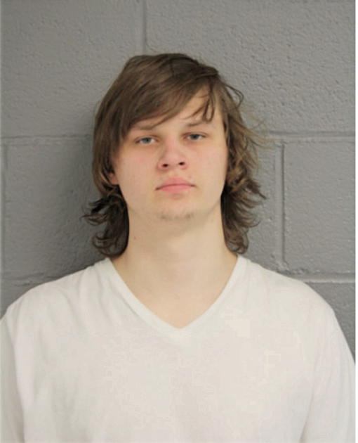 VLADIMIR S GORDIYENKO, Cook County, Illinois