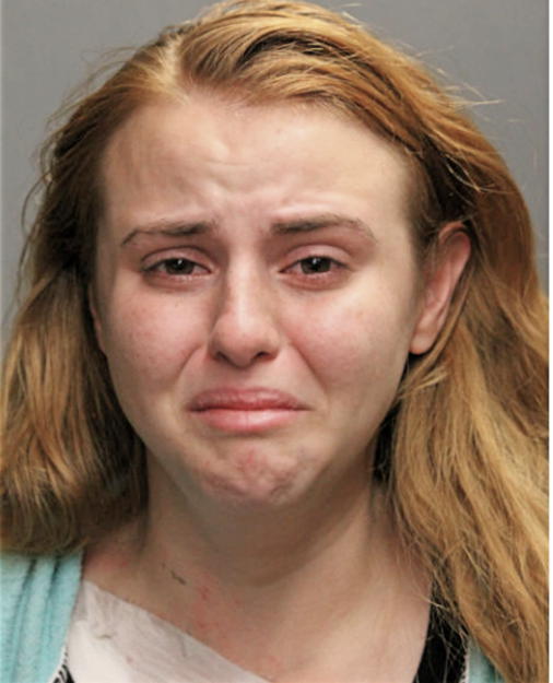SANELA HABIBOVIC, Cook County, Illinois