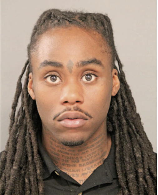 DELANO HOLLOWAY, Cook County, Illinois
