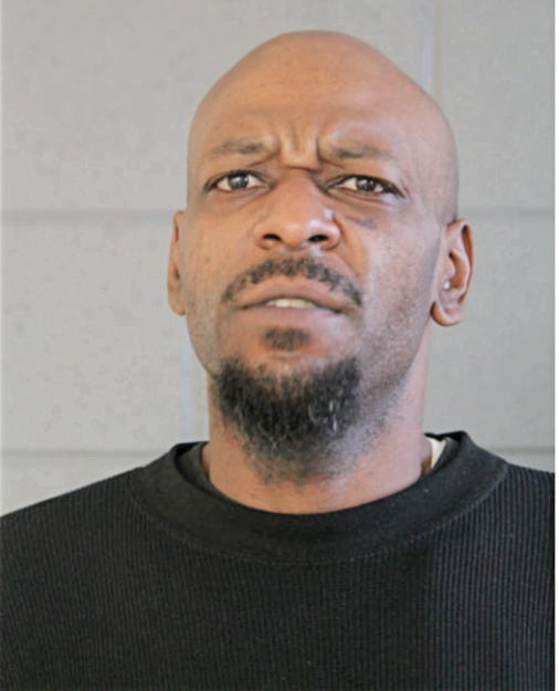 ANTHONY L JOHNSON, Cook County, Illinois