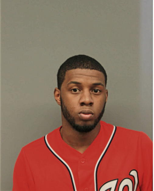 DEVON M JOHNSON, Cook County, Illinois