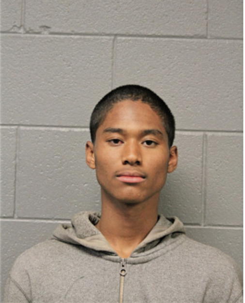 ERIN JOHNSON, Cook County, Illinois
