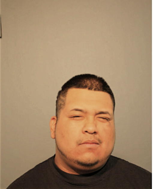ARMANDO LAGUNAS, Cook County, Illinois