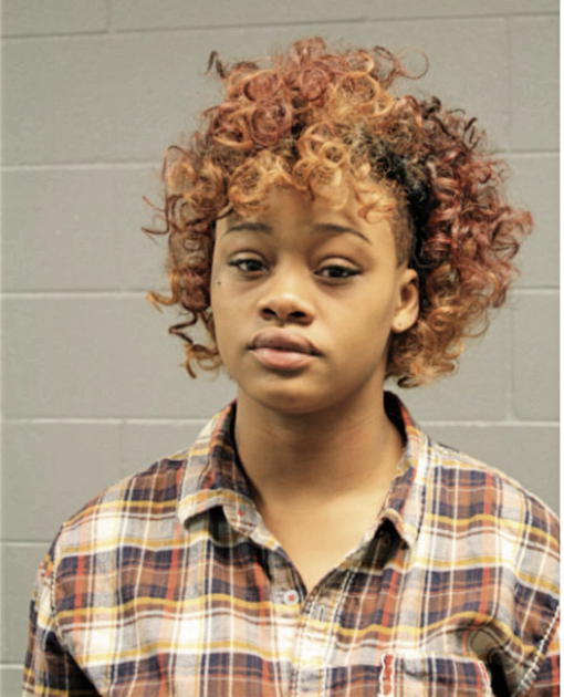 YASMINE S LEE, Cook County, Illinois