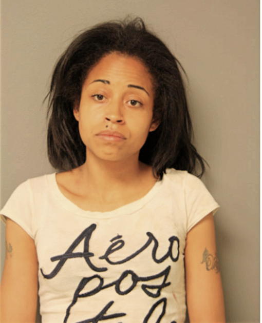 LISA M LEWIS, Cook County, Illinois