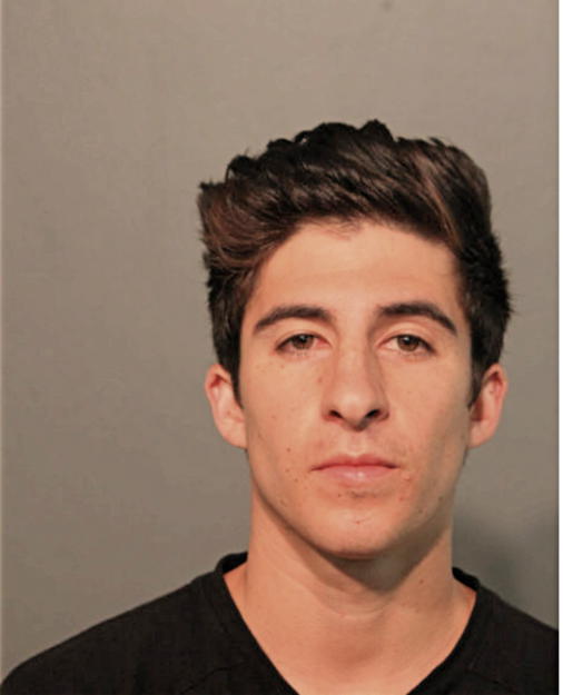 JUSTIN M CABRERA, Cook County, Illinois
