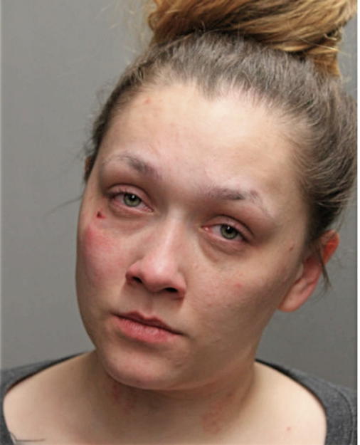 JESSICA V MARTINEZ, Cook County, Illinois
