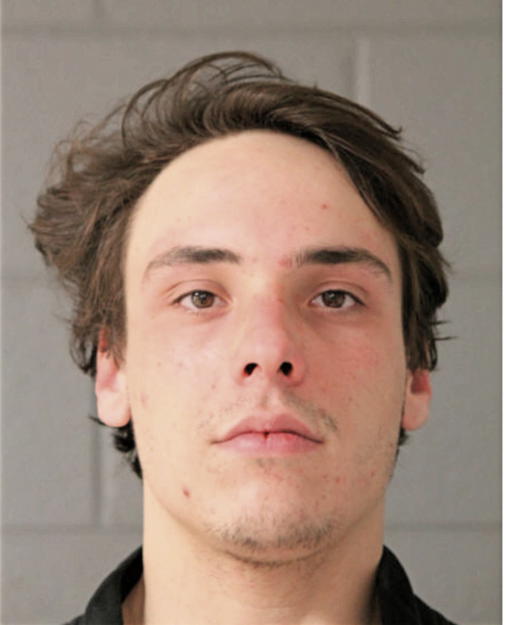 DOMINYKAS MERKELIS, Cook County, Illinois