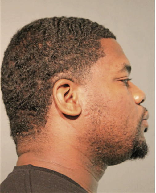 ARTHUR L MITCHELL, Cook County, Illinois