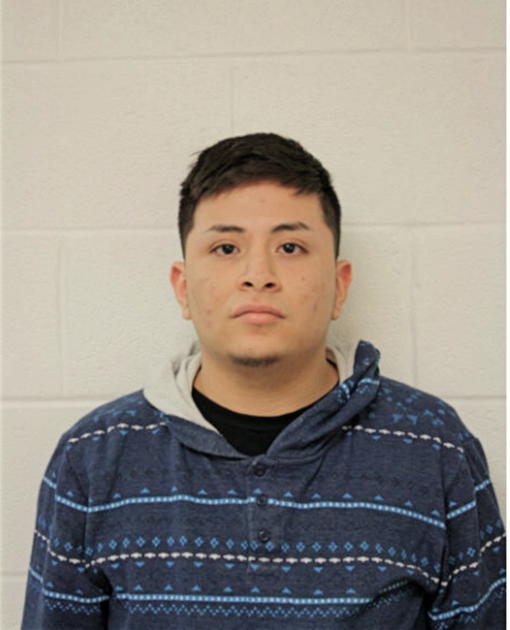 RUBEN A OCHOA, Cook County, Illinois
