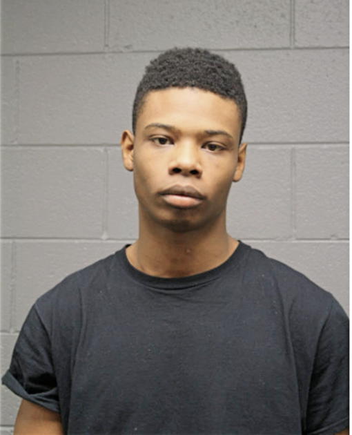 ALLEN G PICKETT, Cook County, Illinois