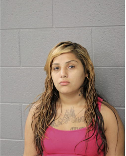 SUSETTE REYNOSA, Cook County, Illinois