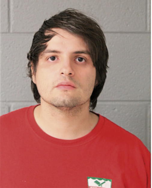 CARLOS O RIVERA, Cook County, Illinois