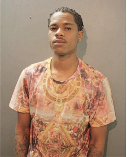 ROY I ROBINSON, Cook County, Illinois