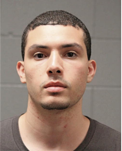 JUSTIN C RUIZ, Cook County, Illinois