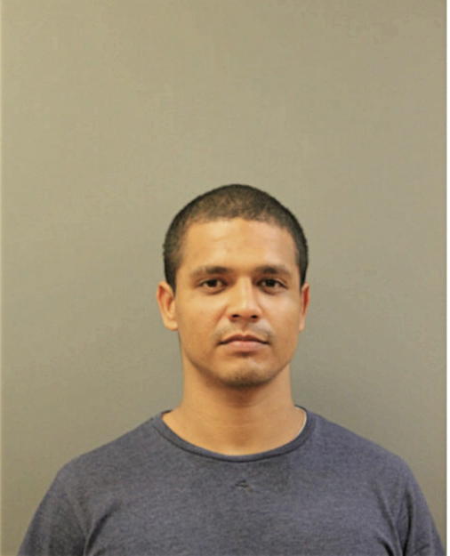 GERMAN J SANTIAGO AFANADOR, Cook County, Illinois
