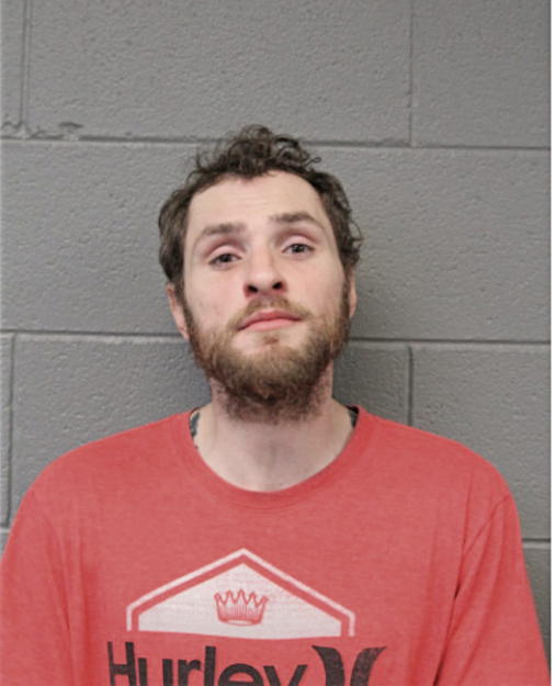 BRADLEY M SCHULTEN, Cook County, Illinois