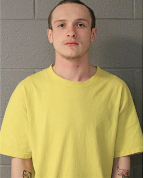 NICHOLAS F VISINAIZ, Cook County, Illinois