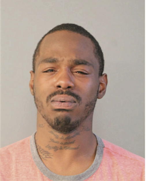 DANDRE D YOUNG, Cook County, Illinois