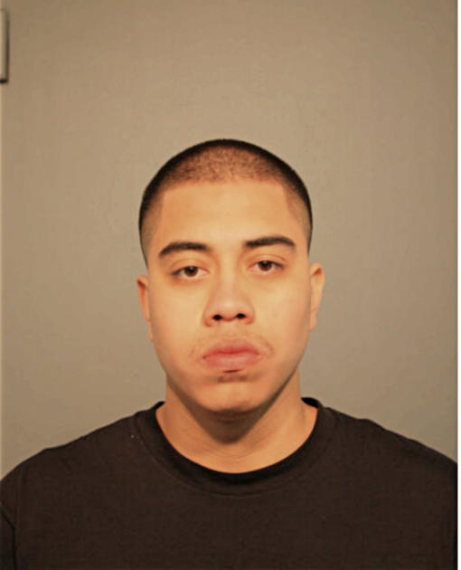 EMMANUEL ABOYTES, Cook County, Illinois