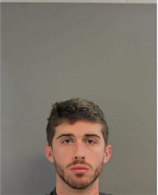 NATHAN P ALLEN, Cook County, Illinois