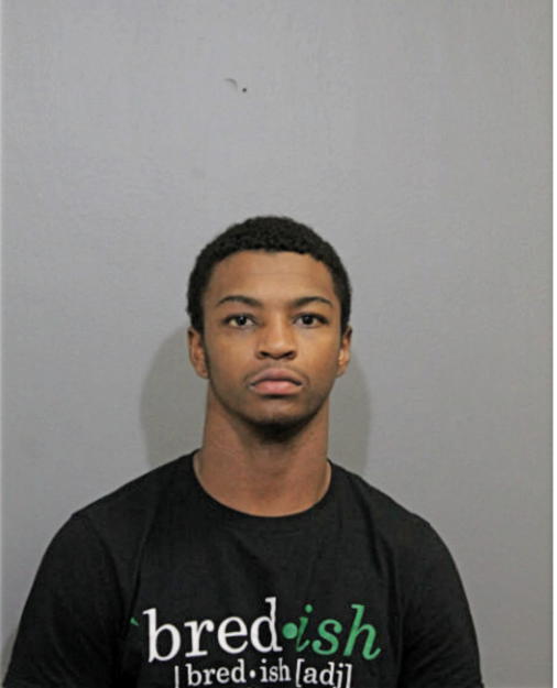 RODERICK H ANDERSON, Cook County, Illinois