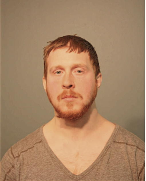 RYAN BRANDIS, Cook County, Illinois