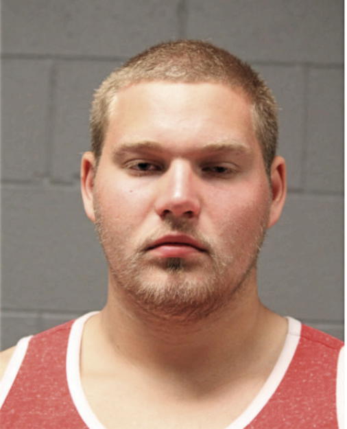 DOVYDAA BUTKEVICIUS, Cook County, Illinois