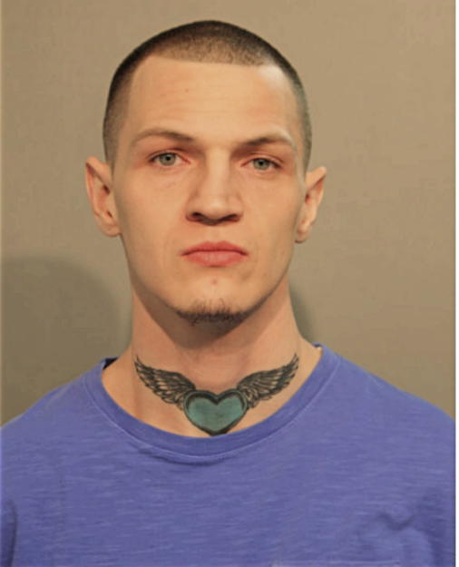 MICHAEL J CURTIN, Cook County, Illinois